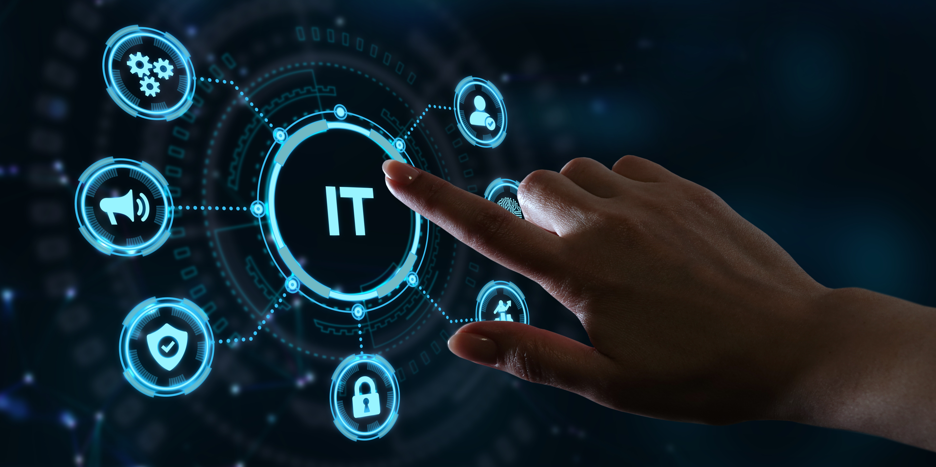 Description of Image 1